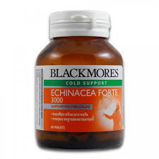Blackmores Echinacea Forte 3000 60 Tablets Blackmores Echinacea Forte 3000 60 Tablets